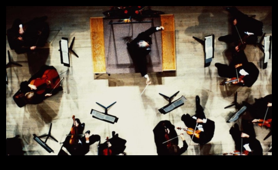 Simfonia startup-ului: Armonizarea pasiunii și a profitului