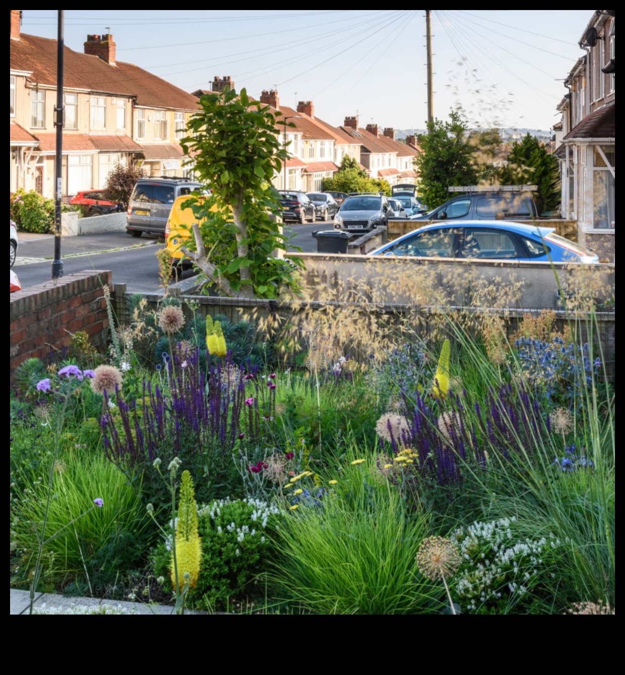 Gardienii verdeață: strategii pentru o grădină rezistentă la dăunători