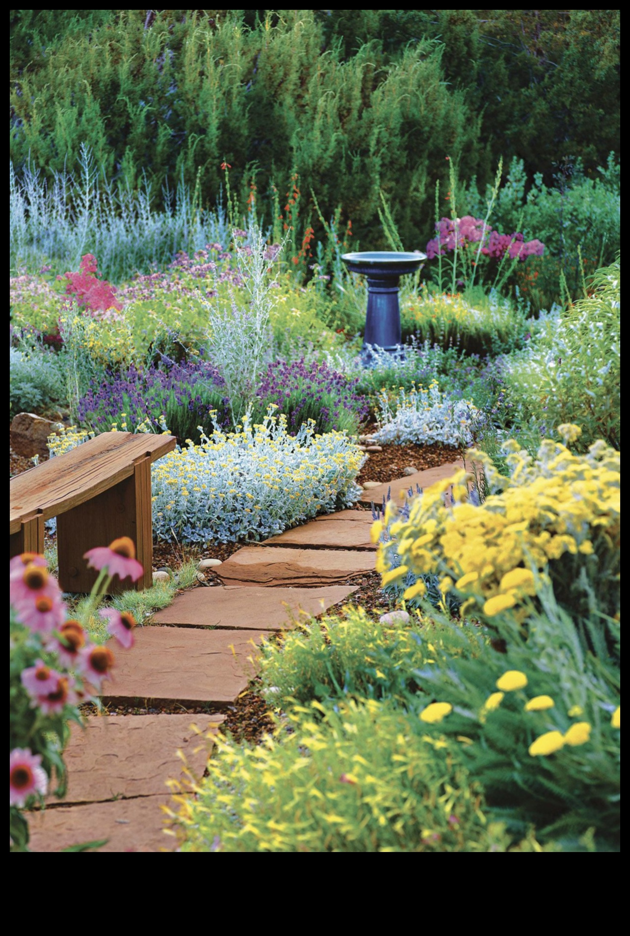 Înflorește cu stil: ridică-ți grădina cu Decor Essentials