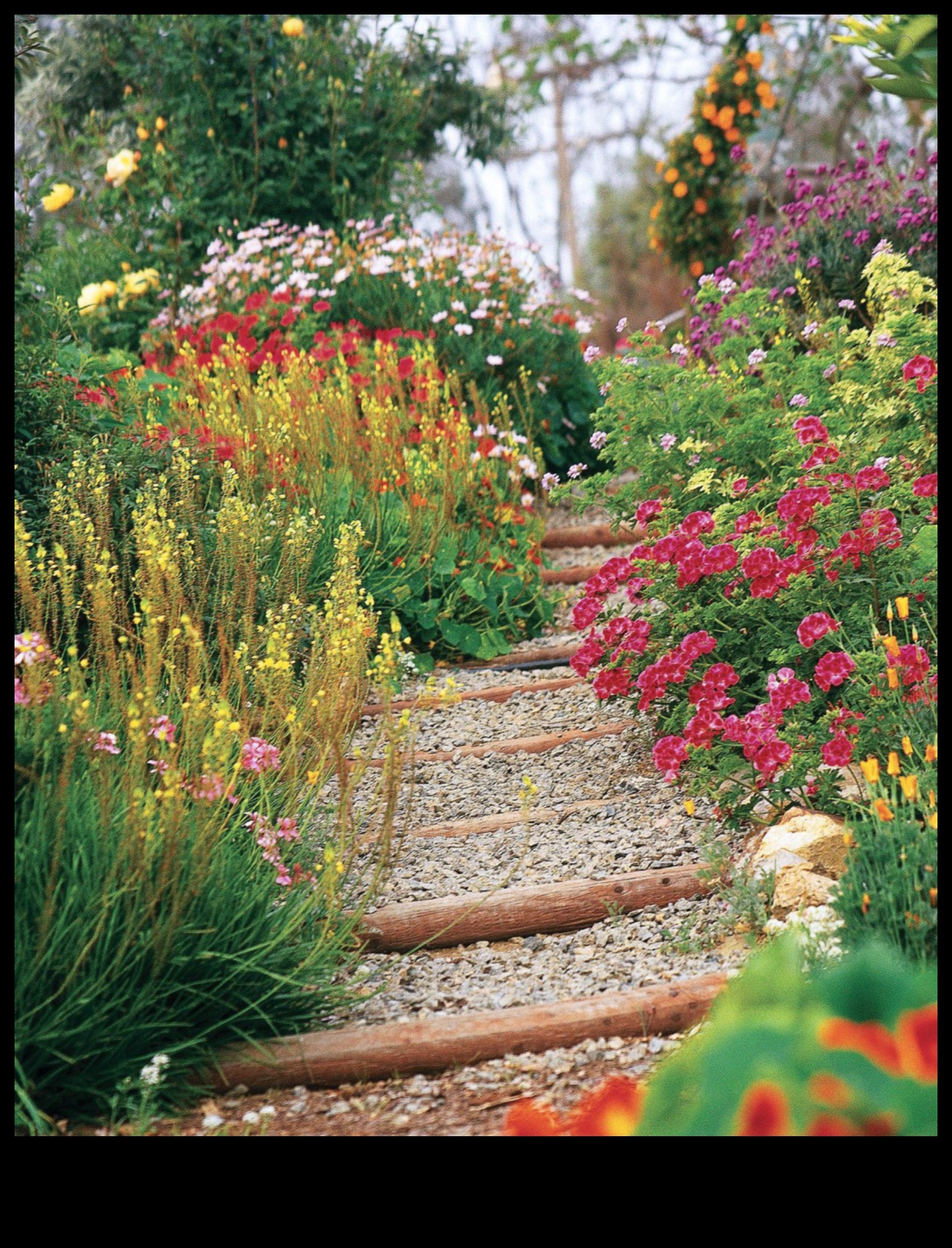 Înflorește cu stil: ridică-ți grădina cu Decor Essentials