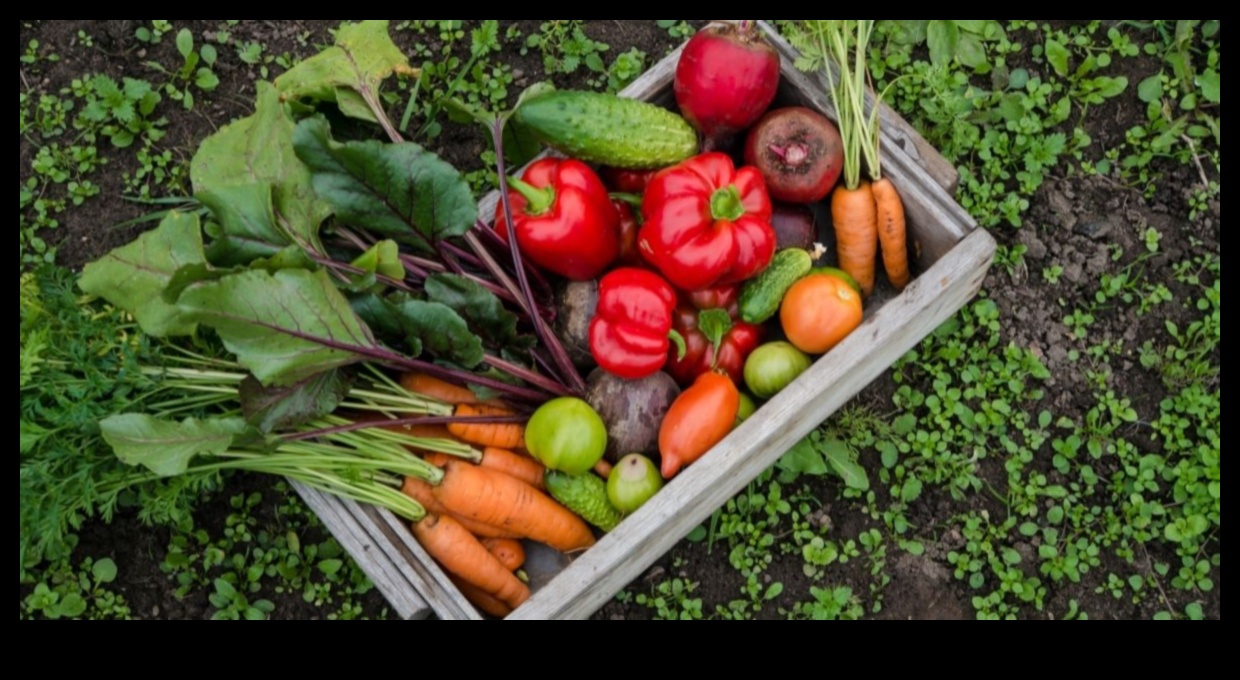 De la sol la cină: Deliciul grădinarilor organici