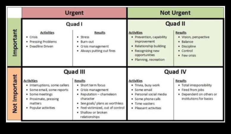 De la viziune la victorie: strategii pentru operațiuni de afaceri eficiente