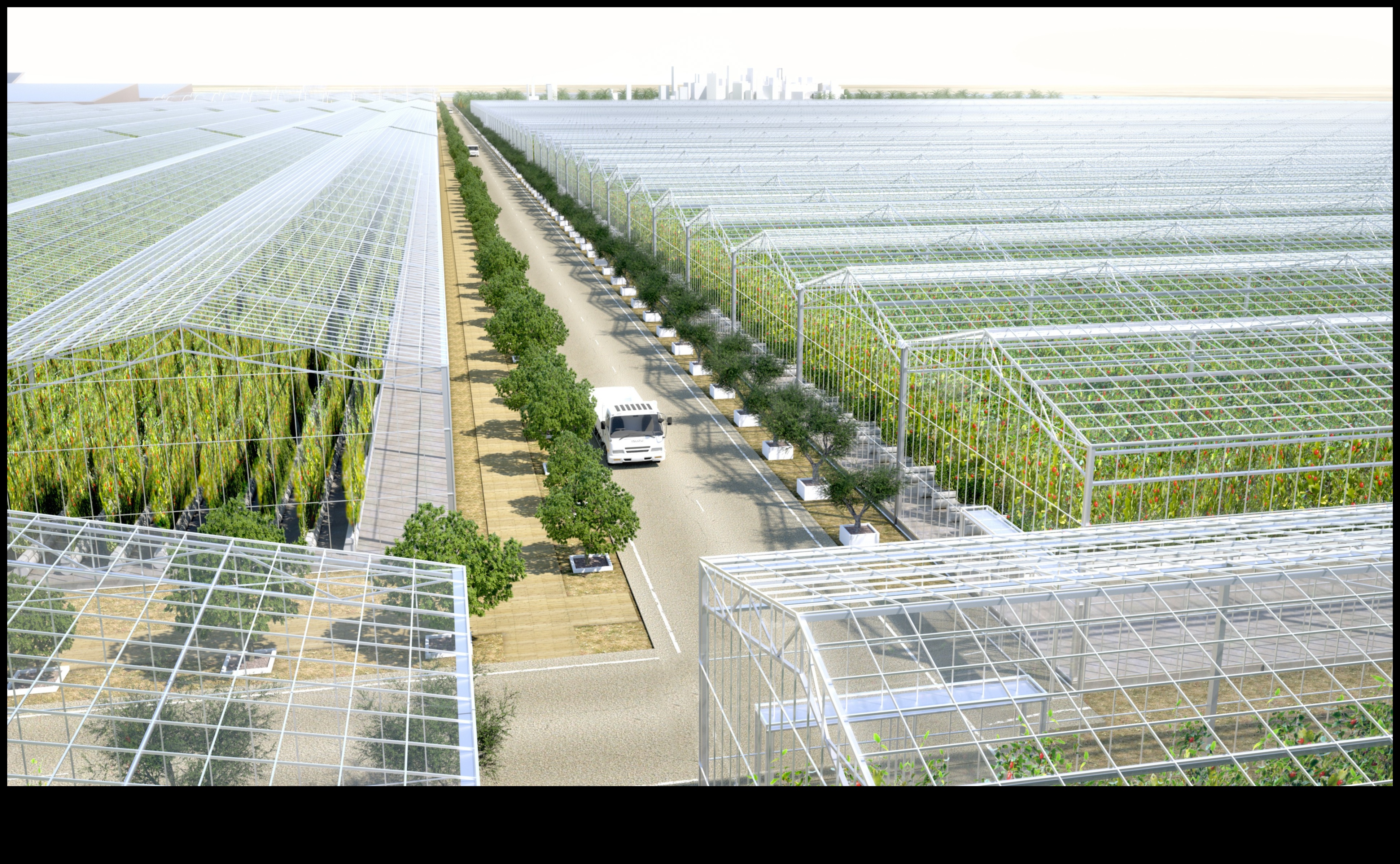 Seninătate durabilă: grădini organice pentru o viață echilibrată