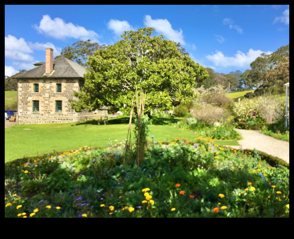 Seninătate durabilă: grădini organice pentru o viață echilibrată