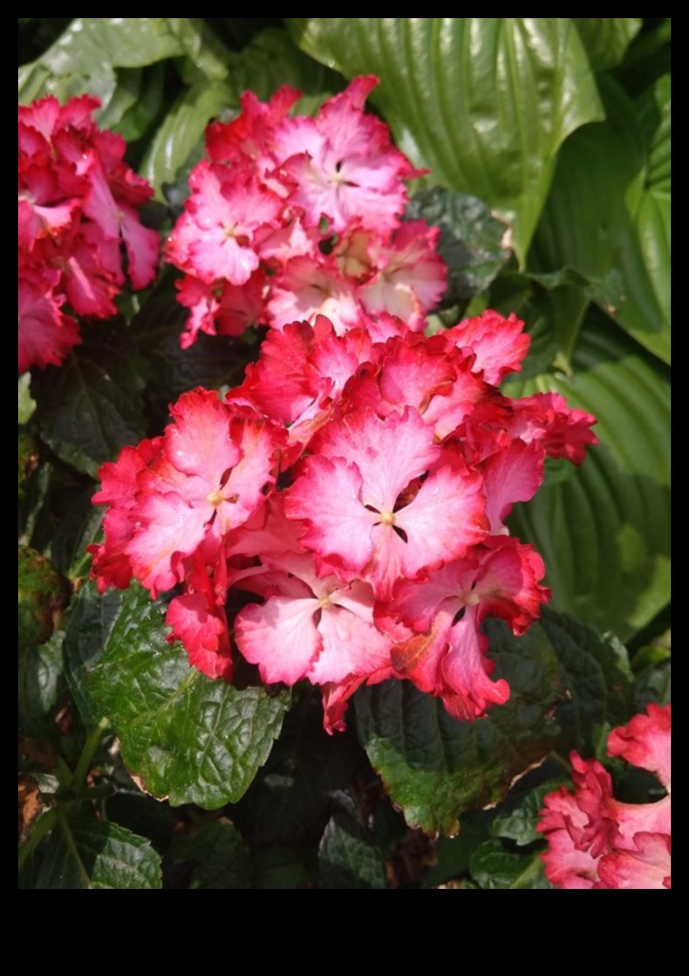 Garden Harmony: Cultivați frumusețea cu îngrijire expertă