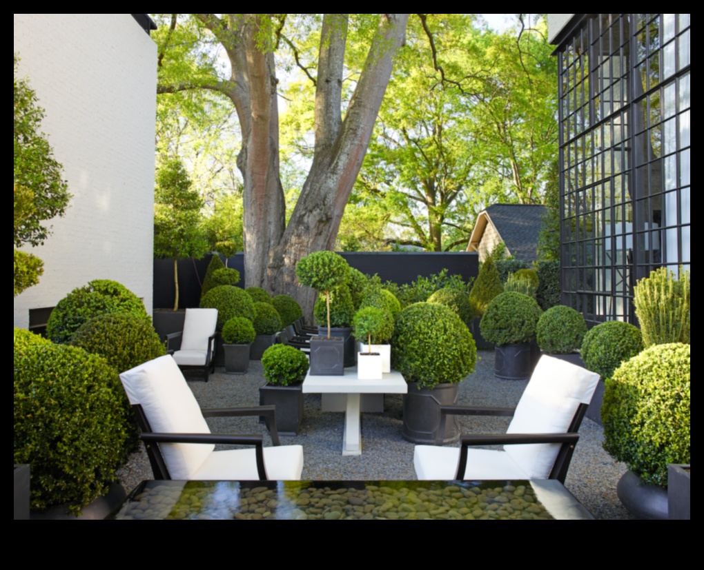 Curți uluitoare: capodopere de design de grădină