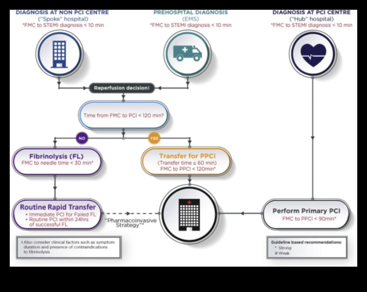 Elevație cardiovasculară: ridicați-vă la provocarea unei inimi puternice