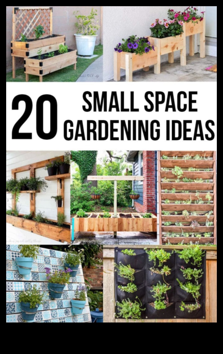 DIY Eden: Transformă-ți spațiul cu proiecte creative de grădină