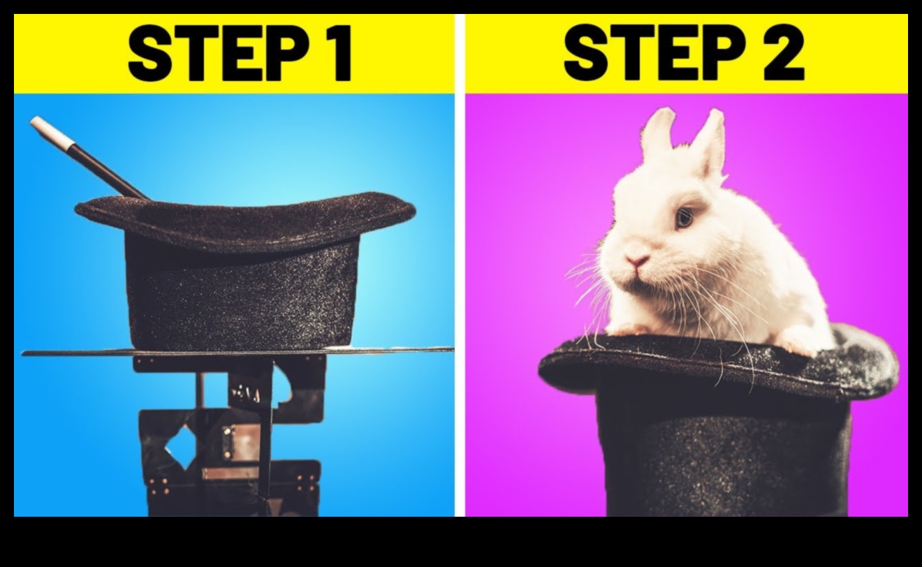 Efecte video DIY: adăugați fler videoclipurilor dvs