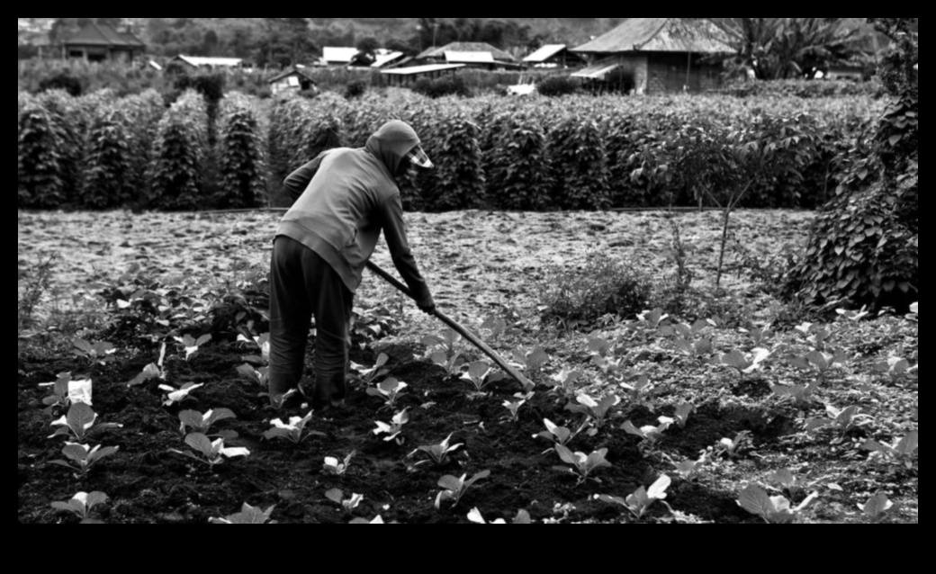 Rădăcinile rezistenței: puterea horticulturii
