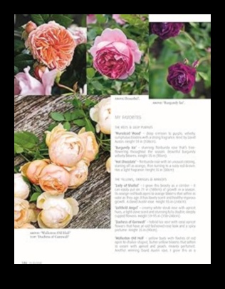 Înflorește în floare: adaptarea îngrijirii grădinii la perfecțiune