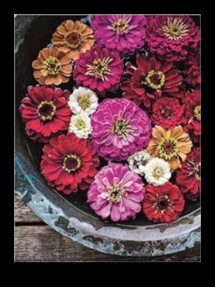 Înflorește în floare: adaptarea îngrijirii grădinii la perfecțiune