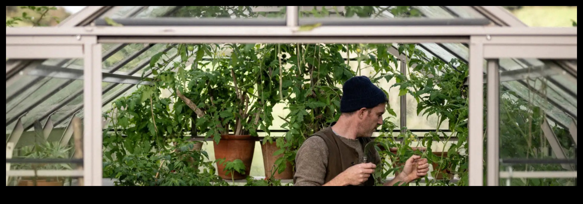 Semăna, înflorește, prosperă: avantajul serei