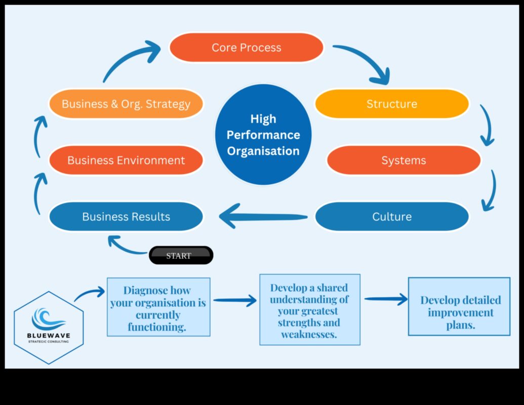 Riding the Business Wave: Strategii pentru succesul managementului strategic