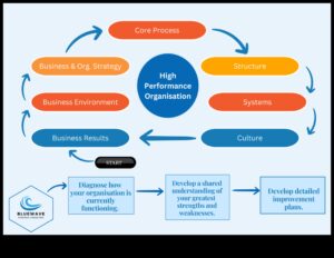 Riding the Business Wave: Strategii pentru succesul managementului strategic