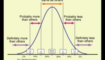 Afaceri la modă: adaptarea la cele mai recente schimbări din industrie