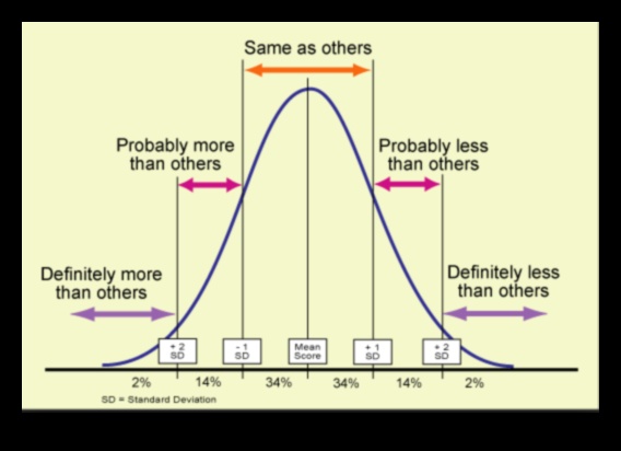 Afaceri la modă: adaptarea la cele mai recente schimbări din industrie