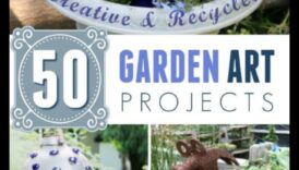 DIY Eden: Transformă-ți spațiul cu proiecte creative de grădină