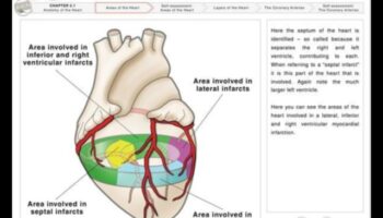 Elevație cardiovasculară: ridicați-vă la provocarea unei inimi puternice