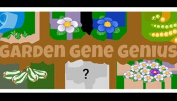Garden Genius: Valorificarea puterii educației