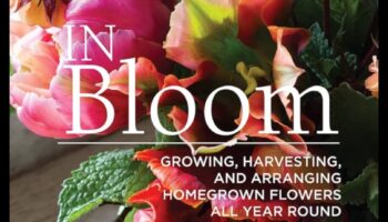 Înflorește în floare: adaptarea îngrijirii grădinii la perfecțiune