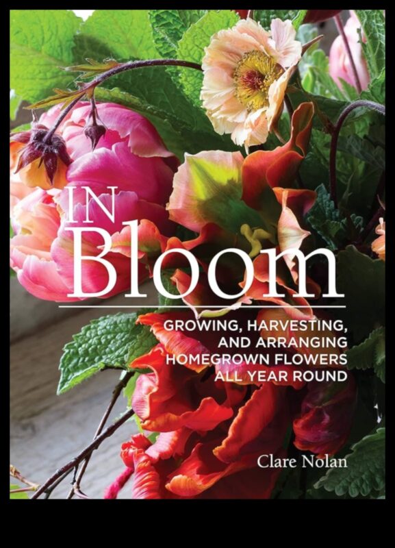 Înflorește în floare: adaptarea îngrijirii grădinii la perfecțiune