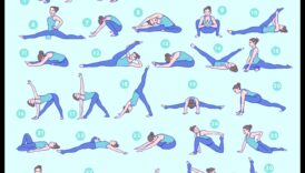 Limber Lifestyle Guide: Transformative Stretching for Wellness
