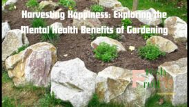 Recoltarea fericirii: cultivarea bucuriei prin îngrijirea grădinii