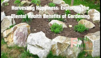Recoltarea fericirii: cultivarea bucuriei prin îngrijirea grădinii