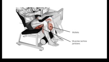 Sculpted Strides: Crearea unei capodopere vizuale cu exerciții pentru picioare