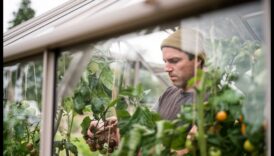 Semăna, înflorește, prosperă: avantajul serei