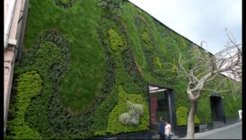 Viață verde, creștere verde: arta grădinilor ecologice